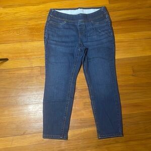 10P‎ Denim & Co. Denum Jegging EE14 6069